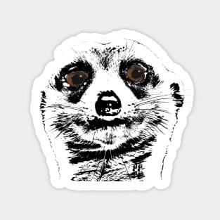 Meerkat bywhacky Sticker